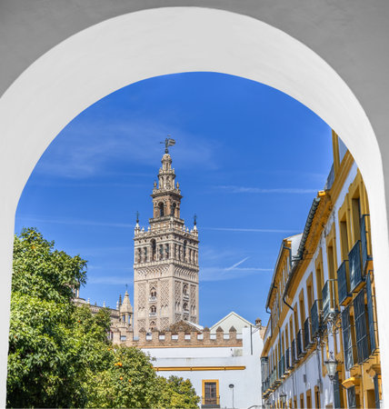 View of tower bell of Seville Cathedral from Santa Cruz neighbourhood, in Seville old city center, Andalusia, Spainの写真素材