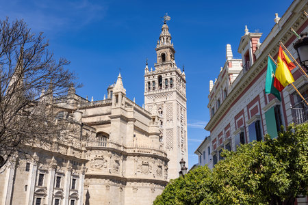 View of tower bell of Seville Cathedral from Santa Cruz neighbourhood, in Seville old city center, Andalusia, Spainの写真素材
