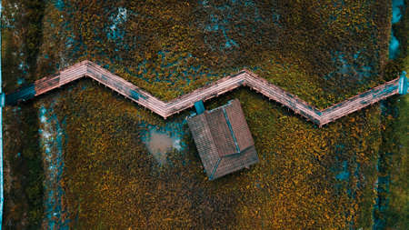 Hut in the middle of a paddy field in Selangor Malaysiaの写真素材