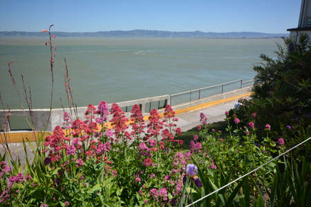 Impressions from the Island of Alcatraz in the Bay of San Francisco from May 1, 2017, California USAのeditorial素材