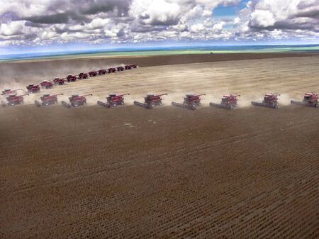 Mato Grosso, Brazil, March 02, 2008: Mass soybean harvesting at a farm in Campo Verde