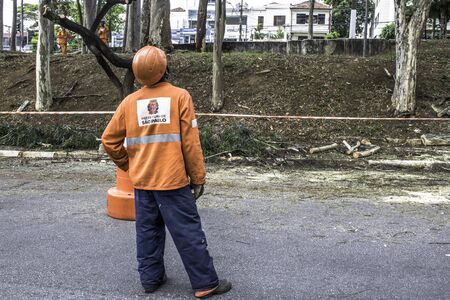 Sao Paulo, SP, Brazil, Octover 11, 2017. Municipality workers take the pruning of tree removal in Manuel Vaz de Toledo Square, in the Vila Mariana neighborhood, south of Sao Pauloのeditorial素材