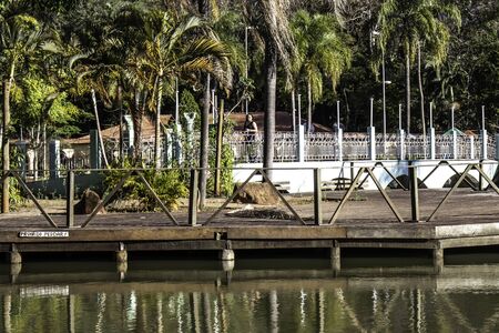 Aguas de Santa Barbara, Sao Paulo, Brazil, September 27, 2019. Gardens, bridges and piers inside the municipal public health resort of the city of Aguas de Santa Barbara of the state of Sao Paulo, Brazilのeditorial素材