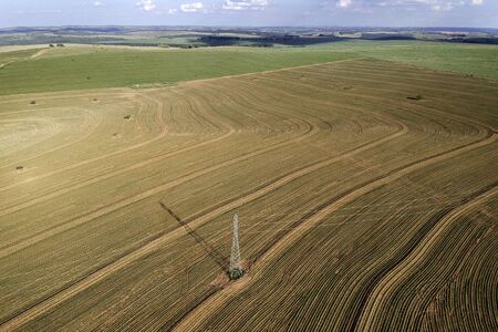 Aerial view from drone of little peanut plant in field and high voltage tower in Brazilの写真素材