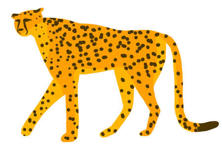 Cute cheetah, leopard or jaguar cartoon character jungle tropical animal. Vector illustration isolated on white backgroundのイラスト素材