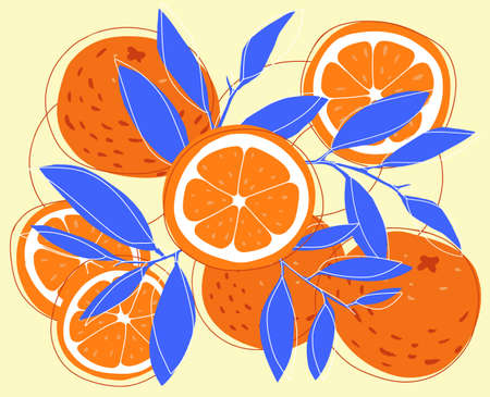 Orange and slice doodle hand drawn illustrationのイラスト素材