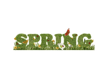 Beautiful spring backgroundの写真素材