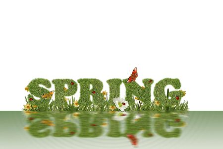 Beautiful spring backgroundの写真素材