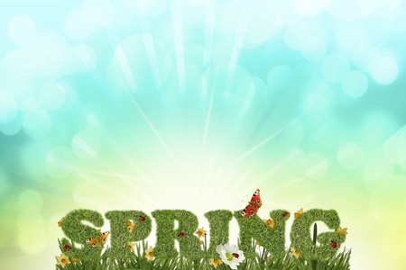 Beautiful spring backgroundの写真素材