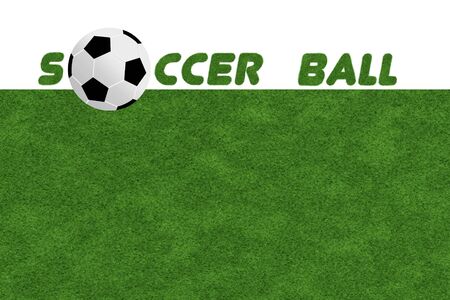background of  Soccer ball on the green fieldの写真素材