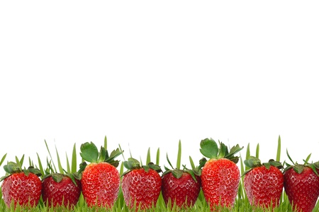Strawberry on the white background の写真素材