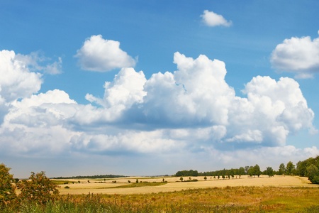 field of grass and perfect sky の写真素材