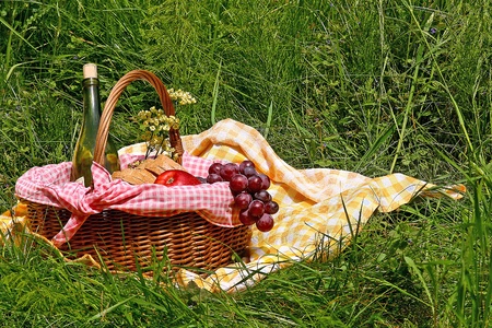 picnic on the grass の写真素材