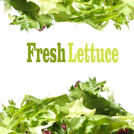 Fresh lettuce over white background の写真素材