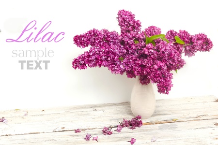 Beautiful Bunch of Lilac in the Vase の写真素材