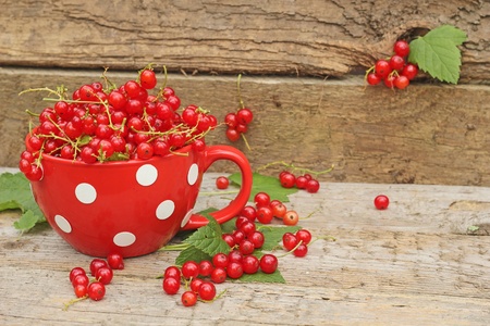 Red Currants in a Bowl on a wooden Tableの写真素材