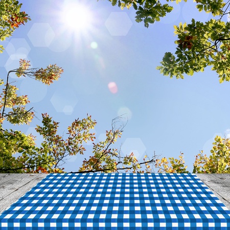Empty table for Your photomontage or product display.