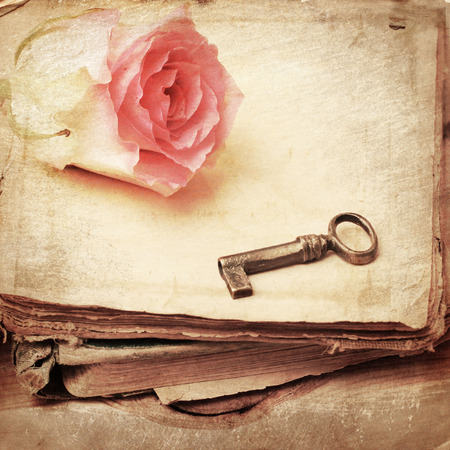 pink rose on an old book  vintageの写真素材