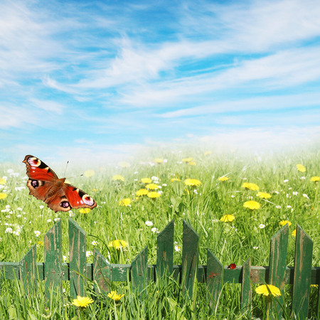 Spring background, grass and wooden fenceの写真素材