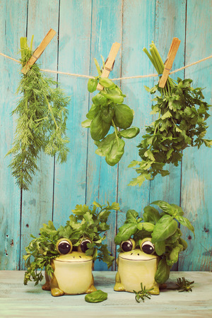 Assorted hanging Herbs on an old and vintage wooden blueの写真素材