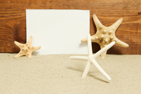 Summer background - shell and blank cardの写真素材