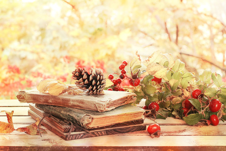 old books, leaves and cone  in autumn sceneryの写真素材
