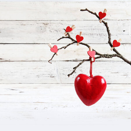 Valentine heart hanging on a tree branchの写真素材