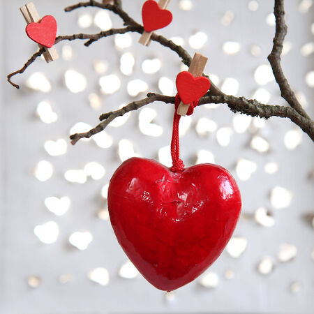 Valentine heart hanging on a tree branchの写真素材
