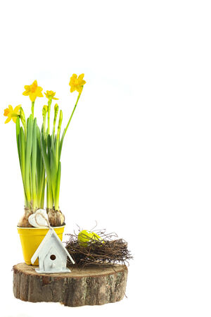 easter backgroundの写真素材
