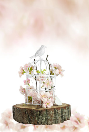 spring flowers in  birdcageの写真素材
