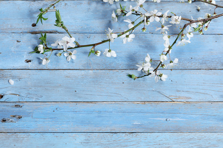 flowers on wooden backgroundの写真素材