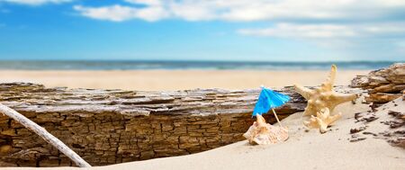 Summer Holidays in Beachの写真素材