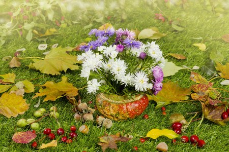 Bouquet of autumn chrysanthemum flowers on a grassの写真素材