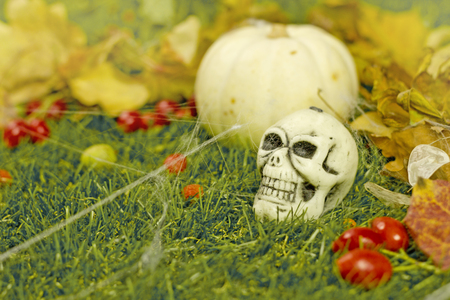 Halloween background, pumpkin and  skull on the grassの写真素材