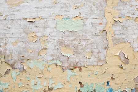 Grain natural paint wall background or textureの写真素材