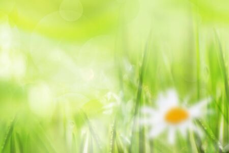 abstract spring background