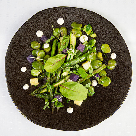 Green summer saladの写真素材