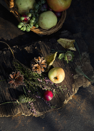 Fresh autumn fruits n the rays of the sunの写真素材