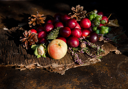 Fresh autumn fruits n the rays of the sunの写真素材