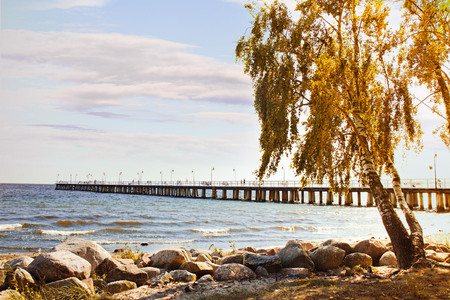autumn in Gdynia Orlowoの写真素材