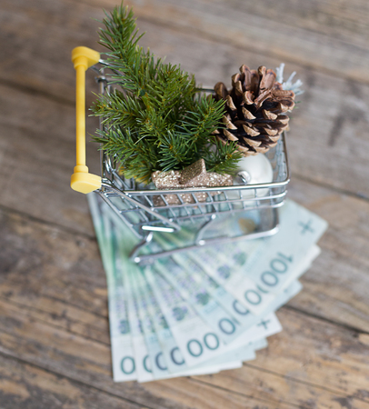 financial expenses for christmas timeの写真素材