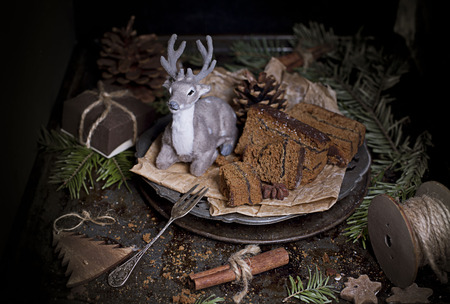 Homemade Christmas gingerbreadの写真素材