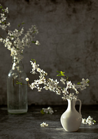 blossom apple tree in vase on dark backgroundの写真素材