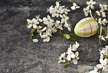 blossom apple tree in vase on dark backgroundの写真素材