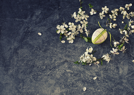 blossom apple tree in vase on dark backgroundの写真素材