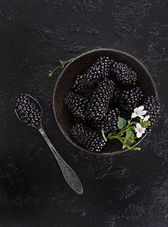 Fresh blackberry on dark backgroundの写真素材