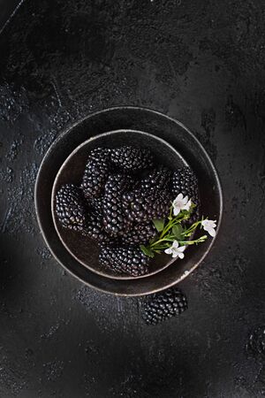 Fresh blackberry on dark backgroundの写真素材