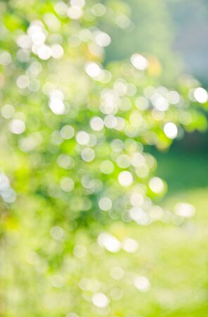 natural summer or spring  background. の写真素材