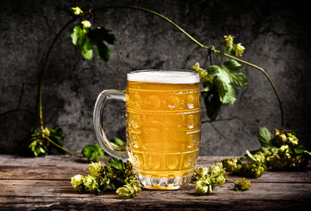 Beer mug with green hops and on a wooden tableの写真素材