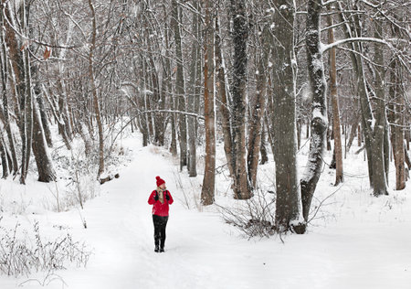 woman in a red jacket is walking in a snow-covered parkの写真素材